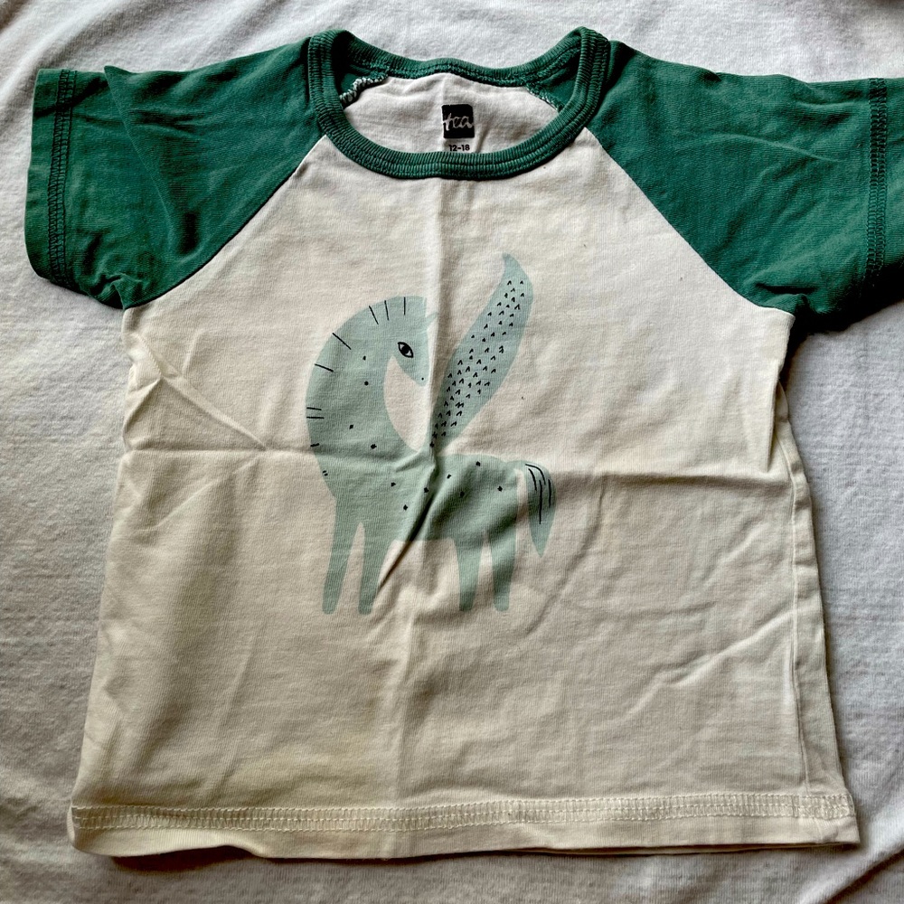 Tea Collection boys 12-18 month t-shirt